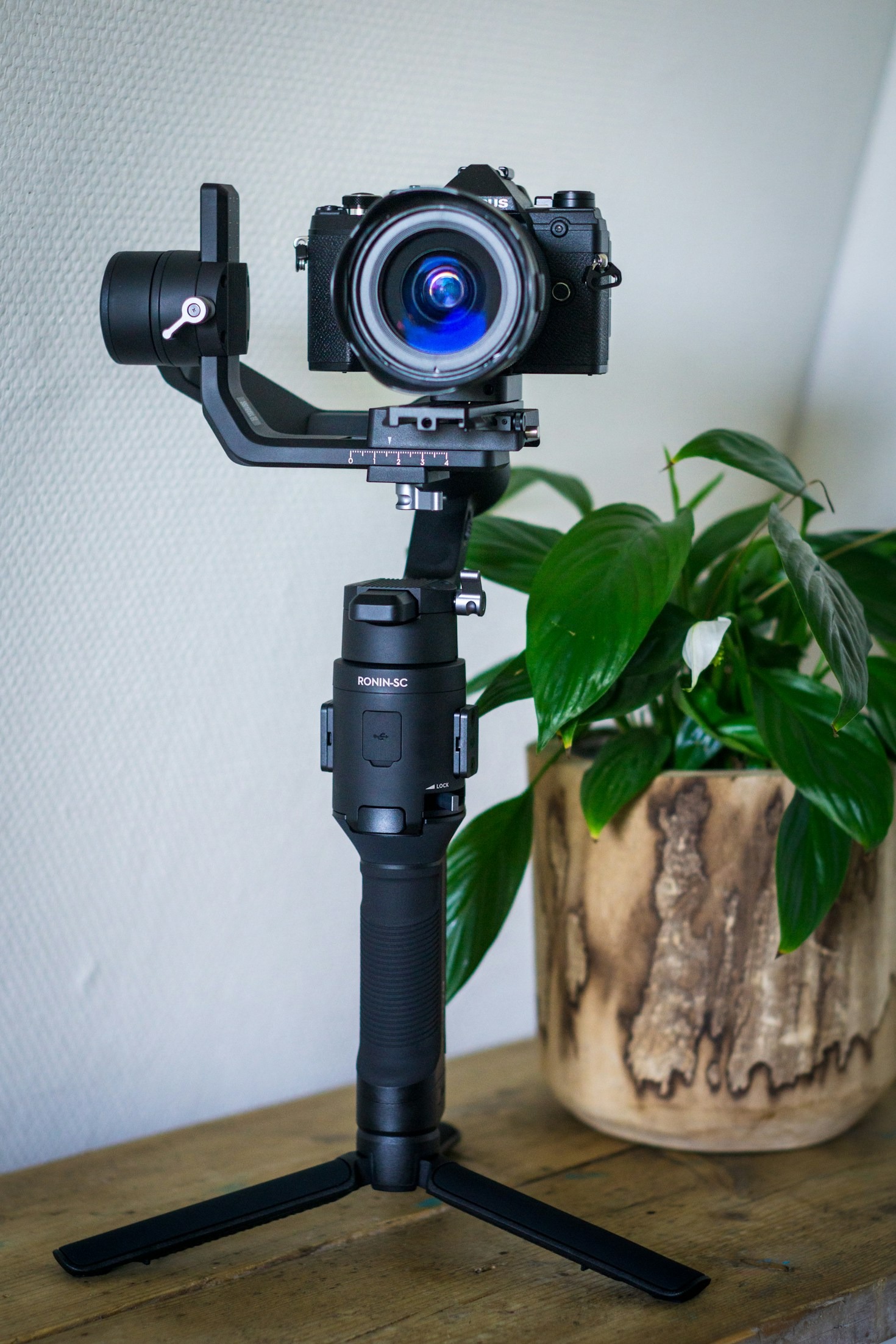 The Role of Technical Expertise in Creative Fields